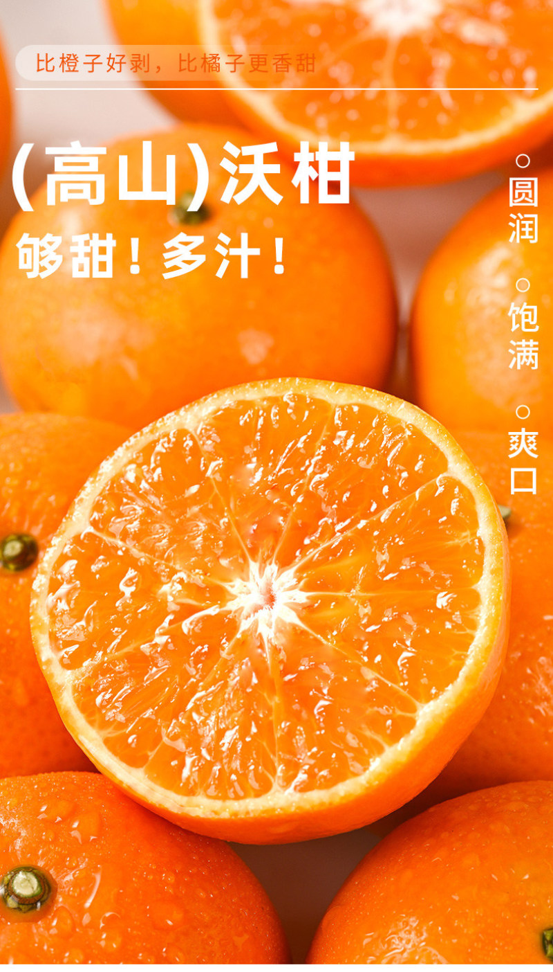 广西武鸣沃柑一件代发产地直发一手货源对接各大电商平台