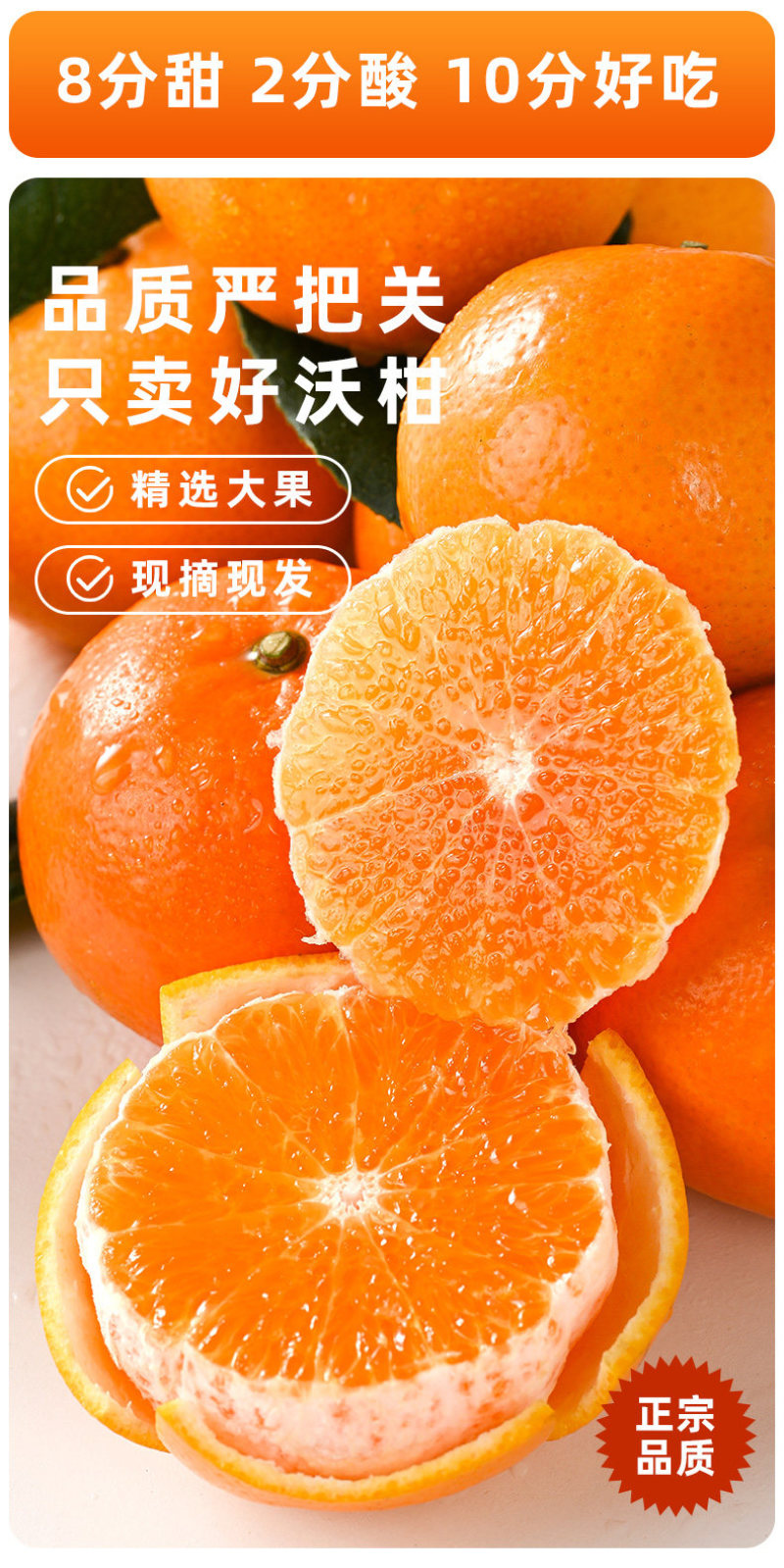 广西武鸣沃柑一件代发产地直发一手货源对接各大电商平台