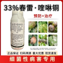 春雷霉素喹啉铜杀菌剂细菌性角斑病果树流胶病腐烂青枯叶枯病