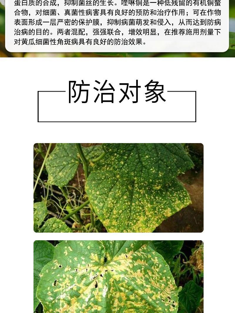春雷霉素喹啉铜杀菌剂细菌性角斑病果树流胶病腐烂青枯叶枯病