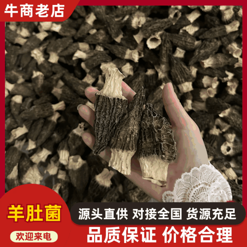 【今年新货】羊肚菌量大质优价格优惠支持视频看货欢迎采购