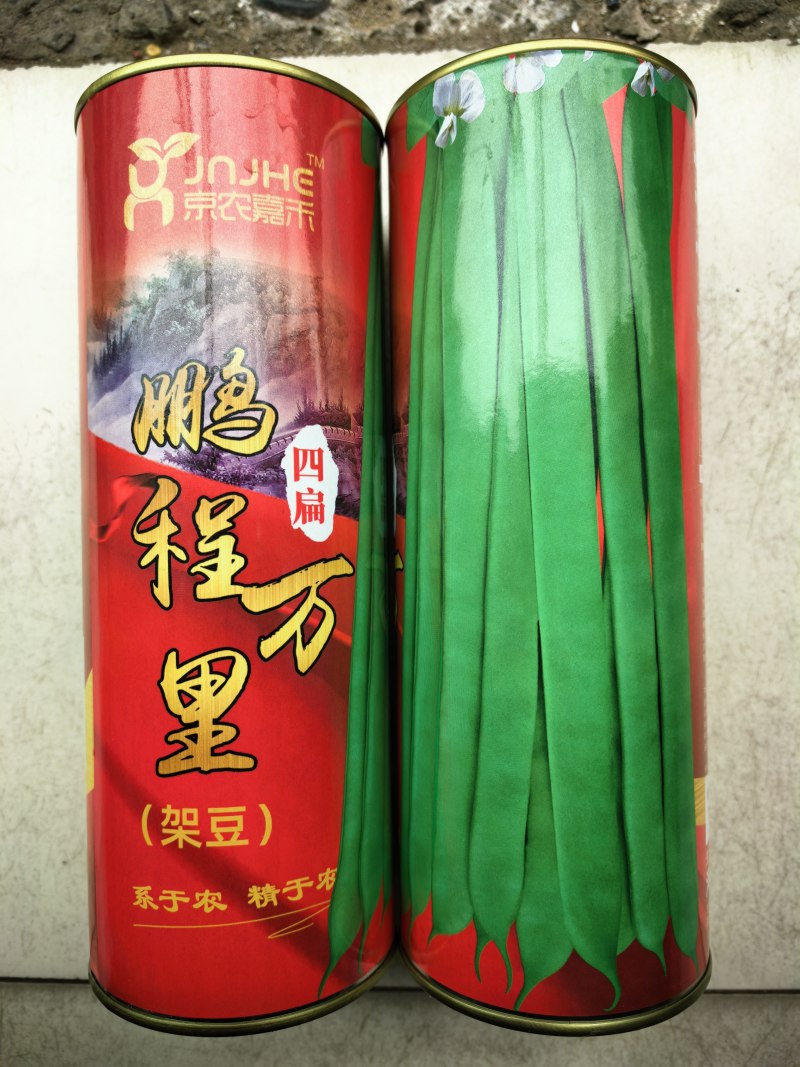 四扁架豆种子鹏程万里早熟四扁豆宽扁无筋芸豆春秋四季豆种子