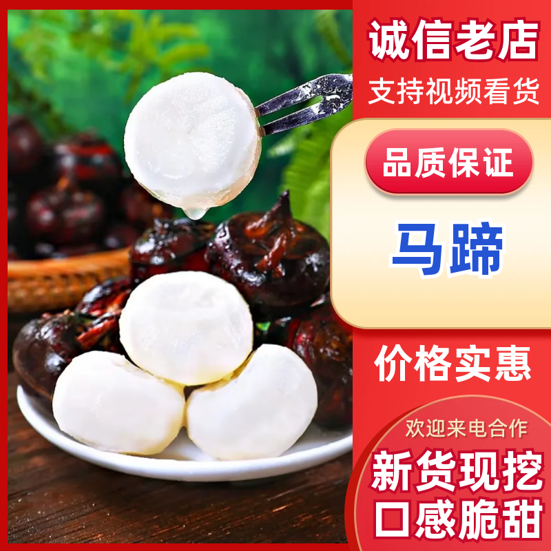 江苏盐城特大红马蹄整车代收代发(全国电商一件代发)