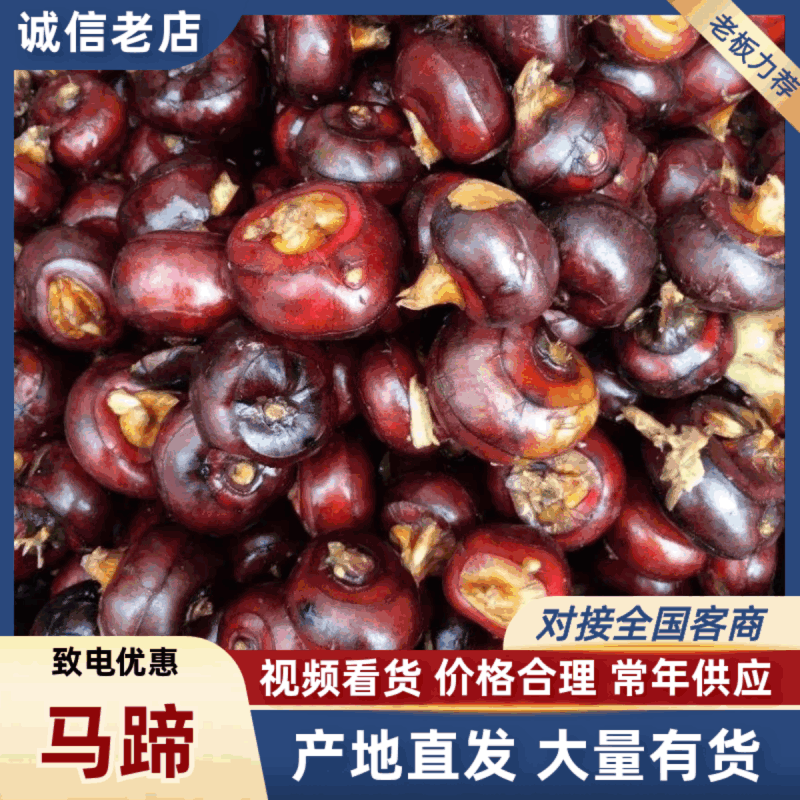 江苏盐城特大红马蹄整车代收代发(全国电商一件代发)