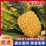 海南金钻风梨/菠萝/整车代收代发(全国电商超市一件代发)