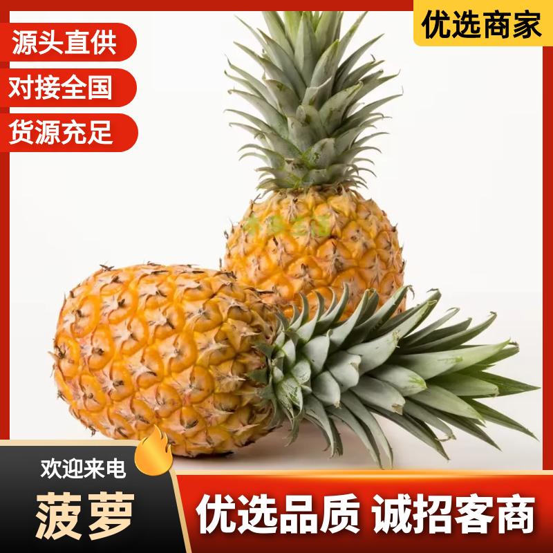 海南金钻风梨/菠萝/整车代收代发(全国电商超市一件代发)