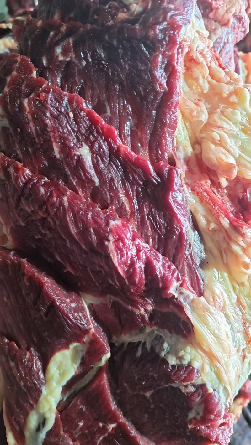 河北张家口新鲜牛肉基地养殖活牛现宰现杀质量保证部位可选