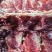 河北张家口新鲜牛肉基地养殖活牛现宰现杀质量保证部位可选