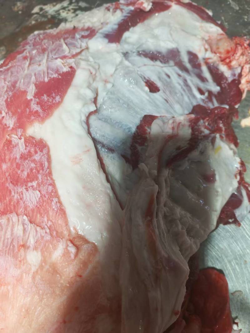 新鲜羊肉河北张家口基地养殖现宰现杀质量保证全国发货