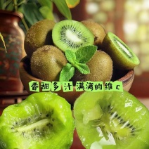 陕西汉中精品徐香猕猴桃/产地直发/量大从优/欢迎来电