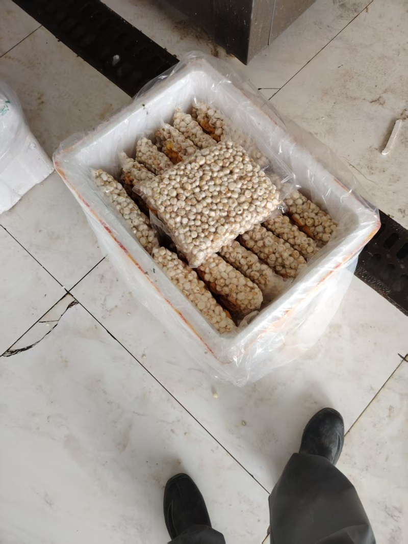 精品珍珠马蹄，广东货源，入口即化，去皮，品质保障欢迎电联