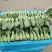 油菜/上海青/大量现货供应/规格齐全/品质保证/欢迎电联