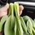 油菜/上海青/大量现货供应/规格齐全/品质保证/欢迎电联