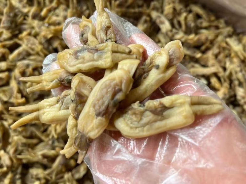 福建东山岛海蛏干无沙淡干蛏子肉干货海鲜干货批发