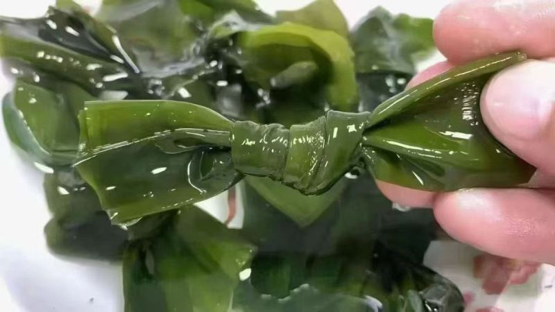 福建漳州特产海带结淡干海带扣火锅食材餐饮家用产地