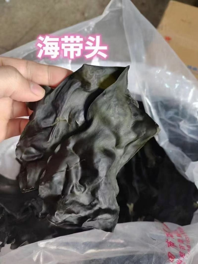 福建漳州特产海带头淡干无盐厚实软糯餐饮家用产地直