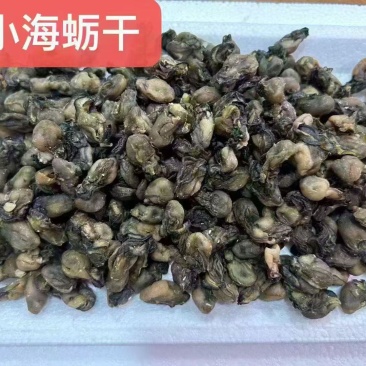 福建漳州特产海蛎干足干无盐肉质饱满餐饮家用产地直供