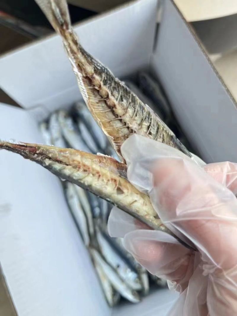 福建漳州东山特产巴浪鱼干足干少刺下酒下饭餐饮家用产地直发