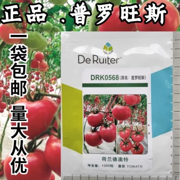 普罗旺斯番茄种子正品原装进口普罗旺斯西红柿种子沙瓤口感好
