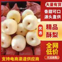 精品纸袋酥梨，大量供应，货源充足，价格公道，产地直发