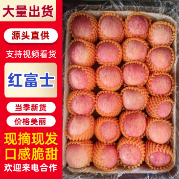 陕西红富士苹果，产地直发，个头大，颜色好，货源充足，