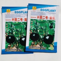 兴圆二号圆茄种子露地大棚专用黑亮圆茄种子白肉大圆茄种子