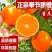 重庆精品脐橙/量大从优/产地直发/货源充足/欢迎来电咨询