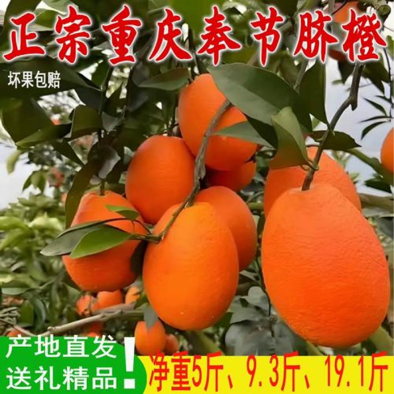 重庆精品脐橙/量大从优/产地直发/货源充足/欢迎来电咨询
