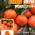 重庆精品默科特柑橘/产地直发/量大从优/诚信经营欢迎来电