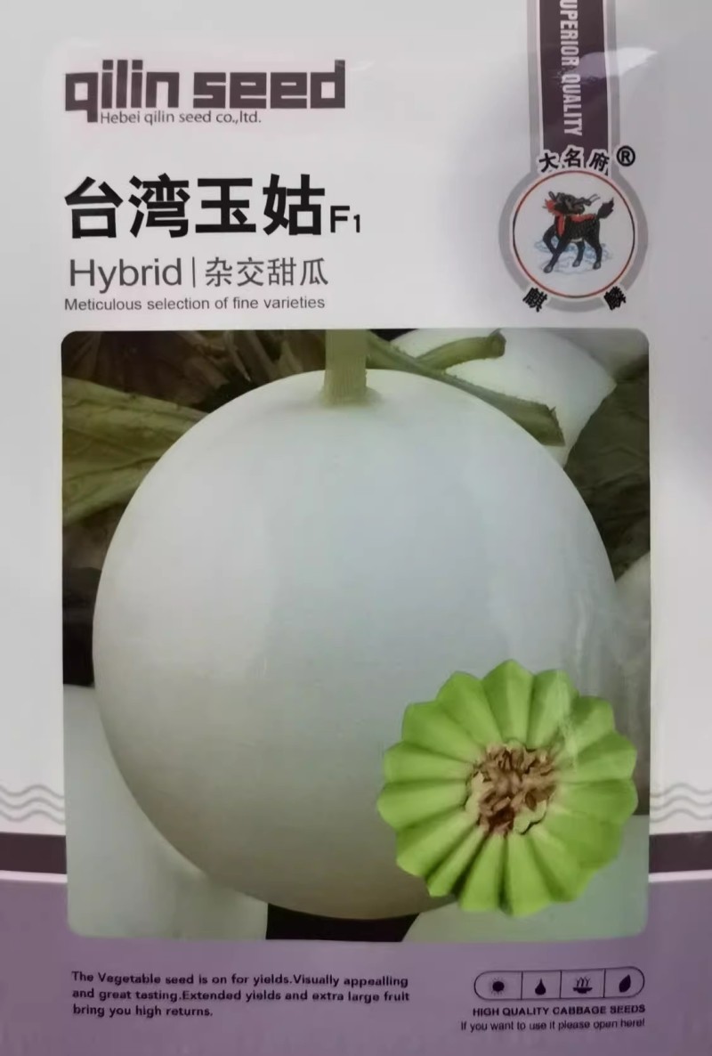 台湾玉姑甜瓜种子高端玉菇白皮绿肉冰淇淋软糯香甜蜜瓜种子
