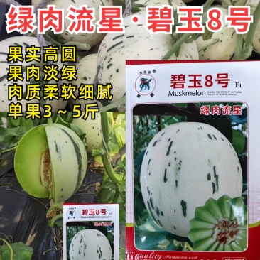 绿肉流星甜瓜种子碧玉8号白皮绿肉绿星斑软糯玉菇姑甜香瓜种