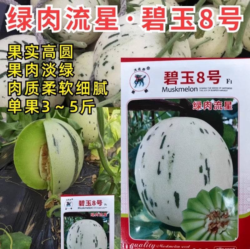绿肉流星甜瓜种子碧玉8号白皮绿肉绿星斑软糯玉菇姑甜香瓜种