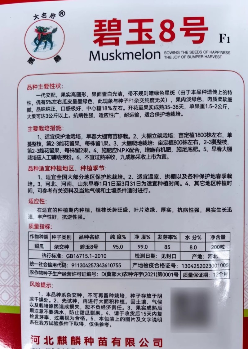 绿肉流星甜瓜种子碧玉8号白皮绿肉绿星斑软糯玉菇姑甜香瓜种