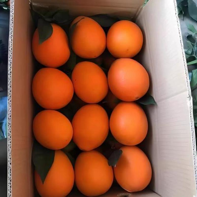 重庆开州区精品脐橙大量上市价低质量好/产地直发