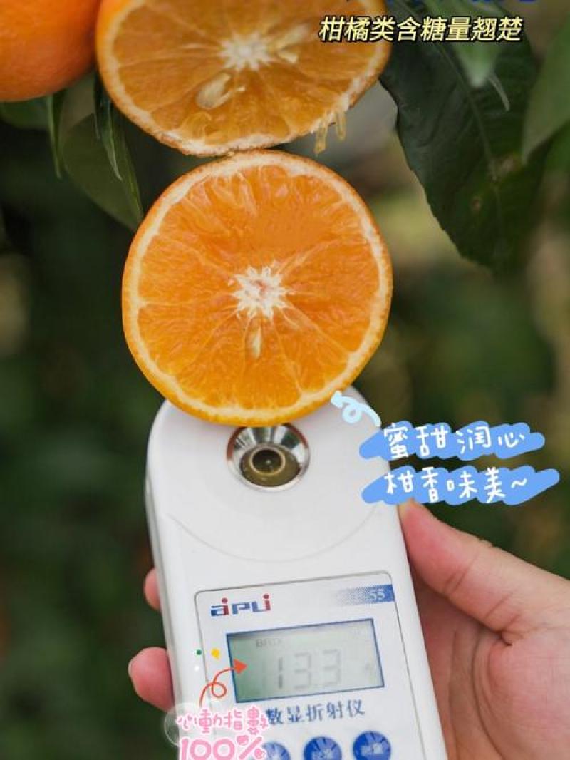 重庆开州精品沃柑/产地直发/量大从优/诚信经营/欢迎来电
