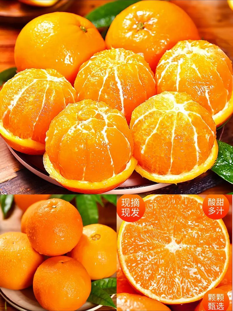 重庆开州精品橙子伦晚脐橙/量大从优/产地直发/诚信经营