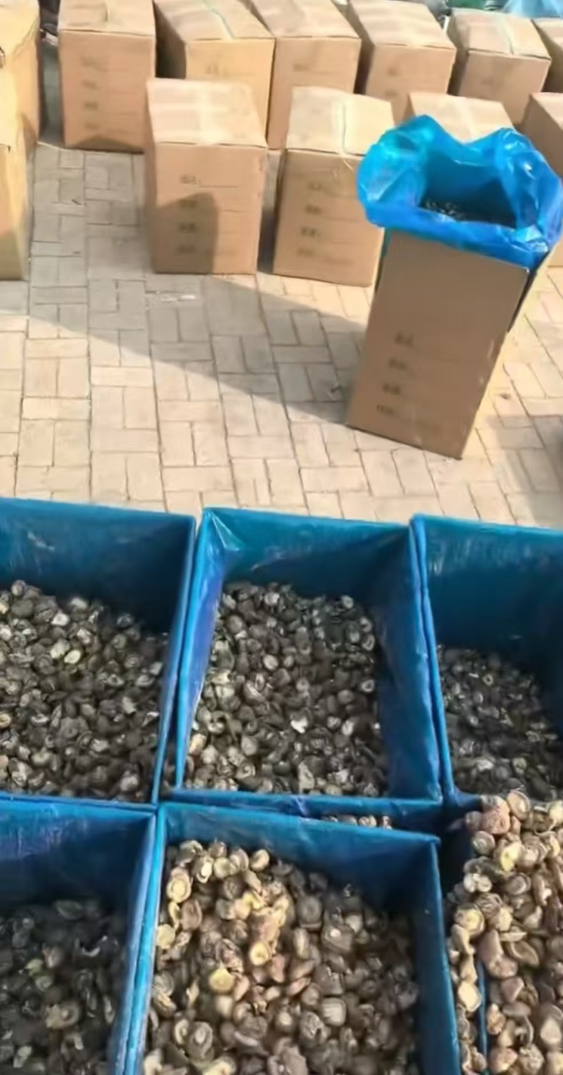 香菇干香菇精品干香菇对接批发采购商超欢迎来电