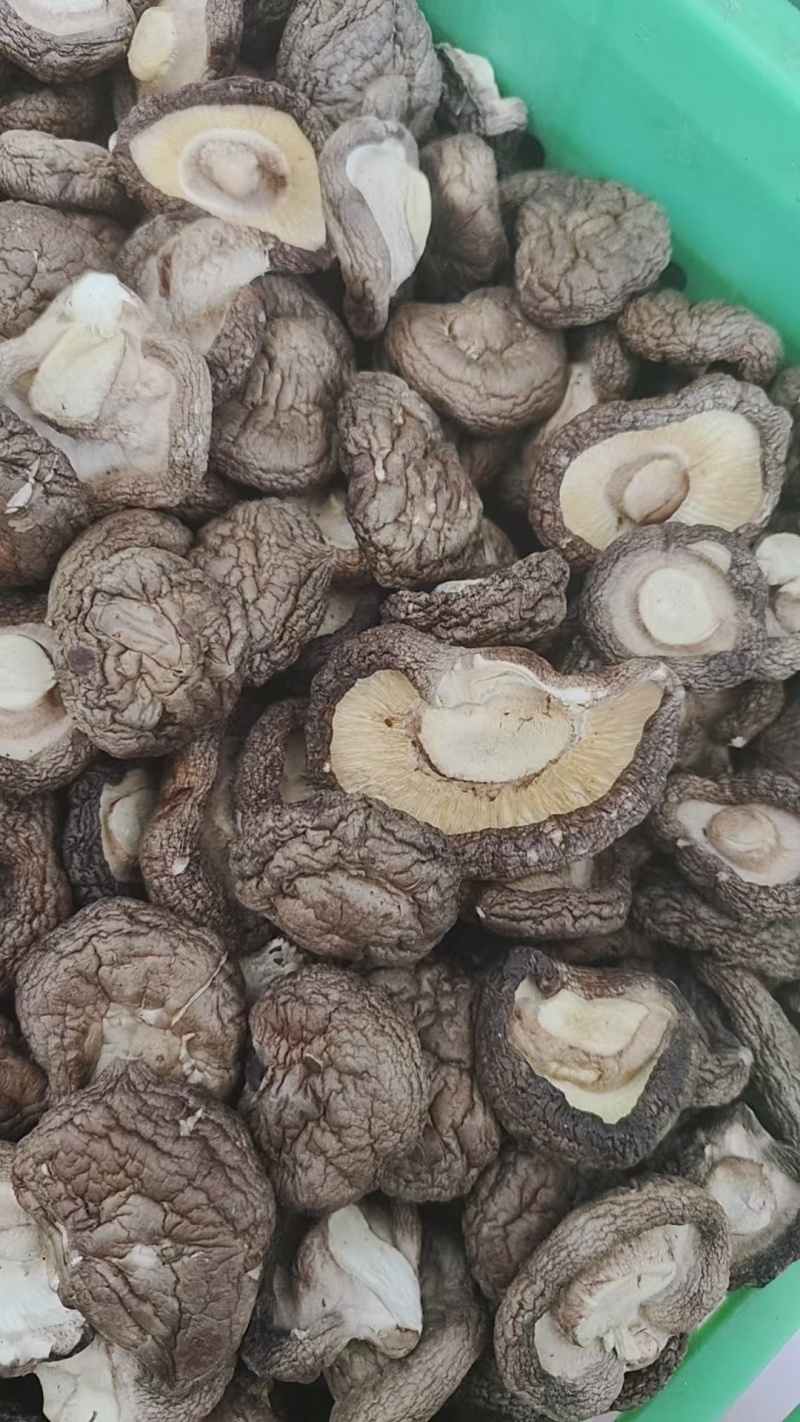 香菇干香菇精品干香菇对接批发采购商超欢迎来电