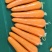 山东精品胡萝卜，对接国，信誉第一，质量三包，基地货源