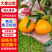 🥇四川春见耙耙柑，高次，小果，大炮果，通货