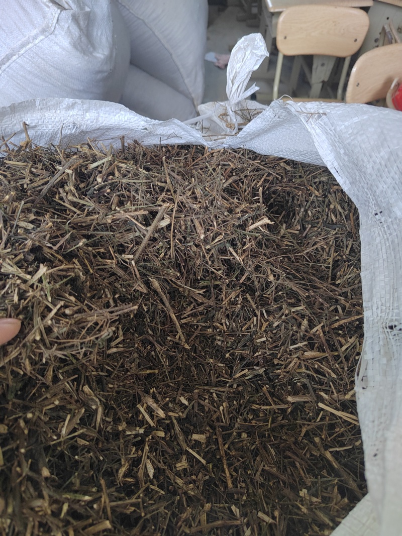 穿心莲，产地直发，支持视频看货，货源充足