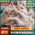 三年老公鸡，基地直发，品质保障，欢迎咨询