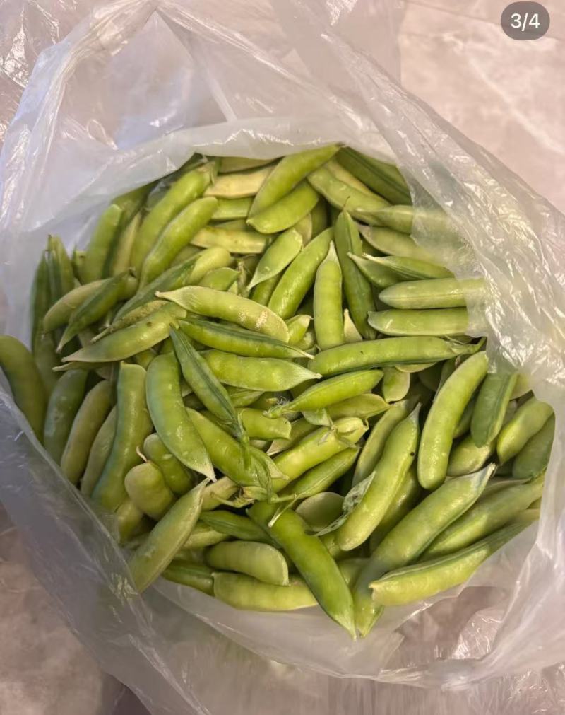 新鲜青豆颗粒饱满产地直供量大价优质量保证