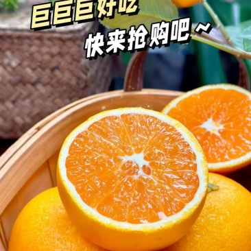 秭归精品伦晚脐橙/量大从优/产地直发/保质保量/欢迎来电