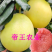 柚子树红心蜜柚苗红肉蜜柚树苗保湿根部现挖苗发货