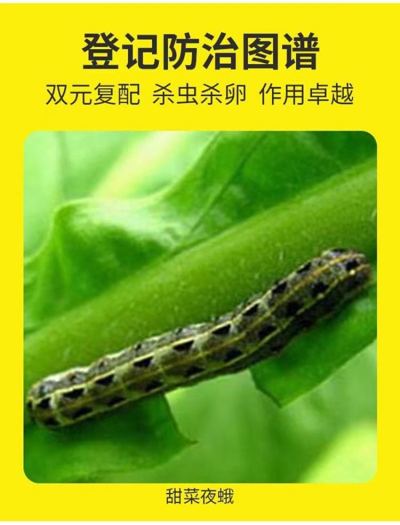 虫螨腈虱螨脲甜菜夜蛾菜青虫小菜蛾钻心虫卷叶蛾杀虫剂