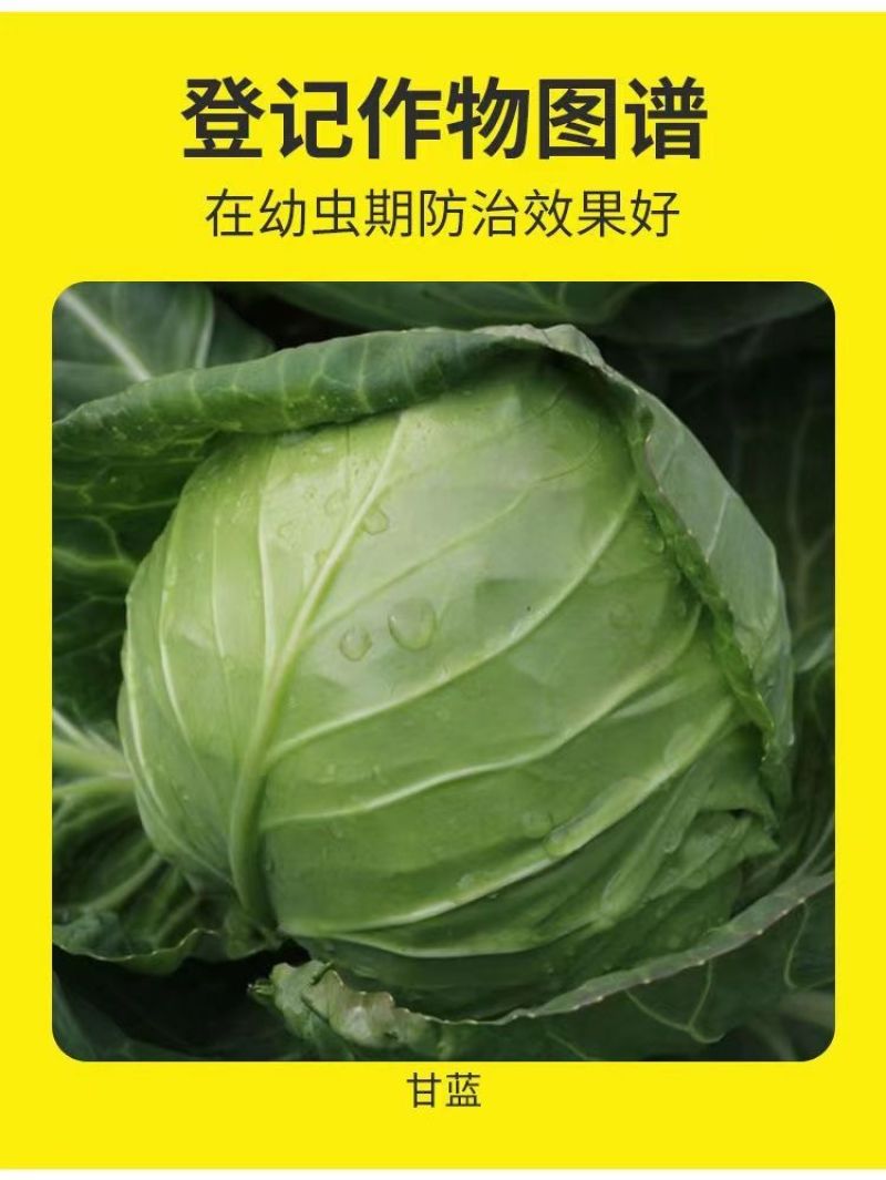 虫螨腈虱螨脲甜菜夜蛾菜青虫小菜蛾钻心虫卷叶蛾杀虫剂