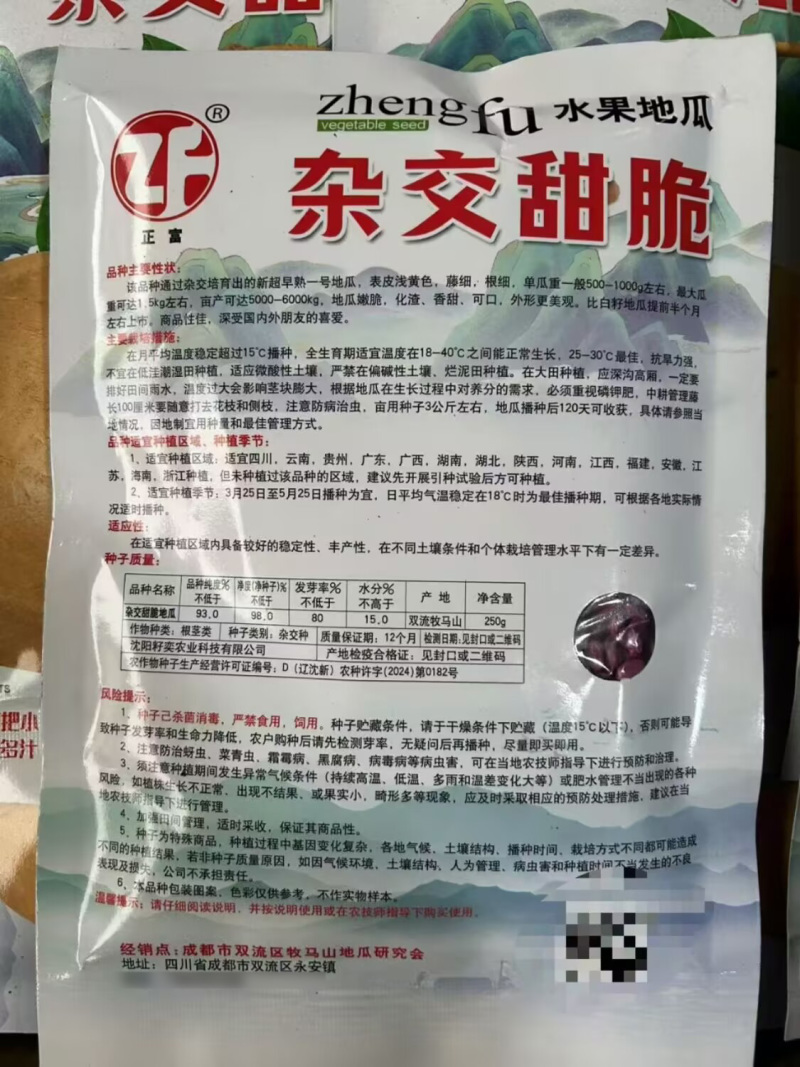 杂交甜脆水果地瓜种子凉薯种子高产早熟小叶细藤皮薄凉薯种籽