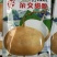 杂交甜脆水果地瓜种子凉薯种子高产早熟小叶细藤皮薄凉薯种籽