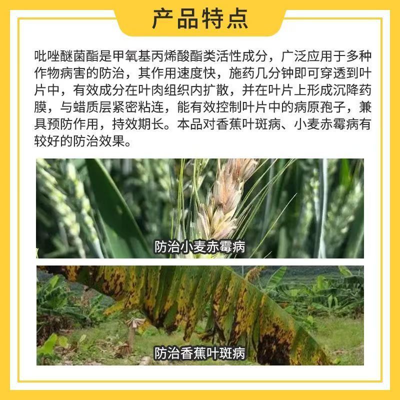 健丰吡唑醚菌酯叶斑病黑星病白粉病炭疽病霜霉病叶枯病杀菌